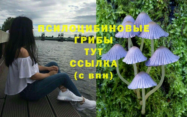 ALPHA-PVP Арсеньев